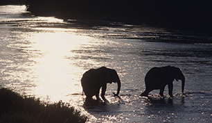 eisele photos | Bilddatenbank (RM)