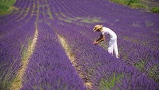 eisele photos | Reinhard Eisele