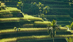 eisele photos | Bilddatenbank (RM)