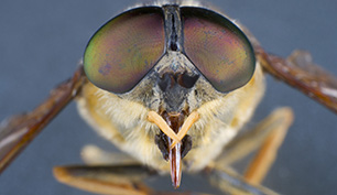 eisele photos | Bilddatenbank (RM)