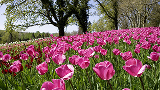 eisele photos | Reinhard Eisele