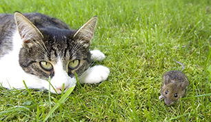 eisele photos | Bilddatenbank (RM)