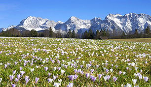 eisele photos | Bilddatenbank (RM)